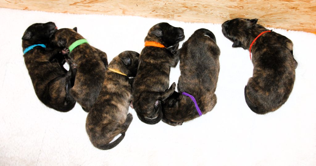 naissance le 3/11/20025