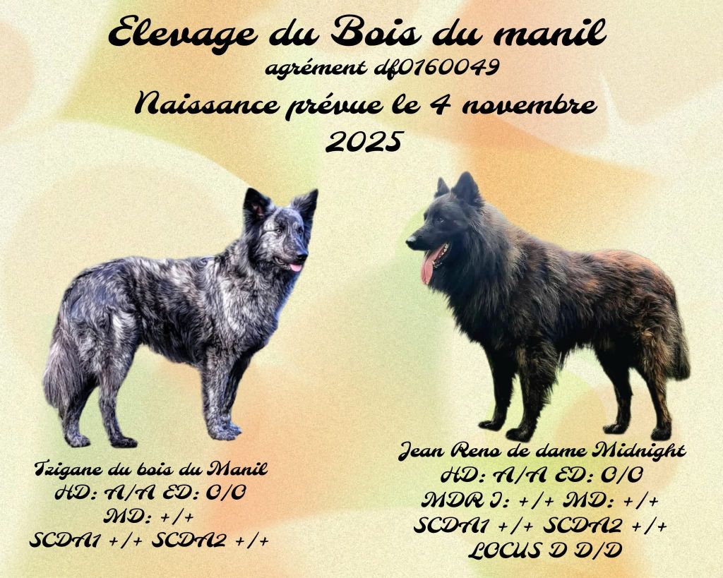 dernière portée prevue le 4 novembre 2025